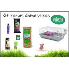 Kit completo para ratas domesticas 